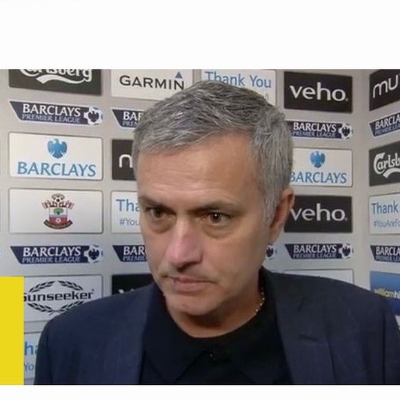 Meet your Posher, Milo - Picture 1 of 1